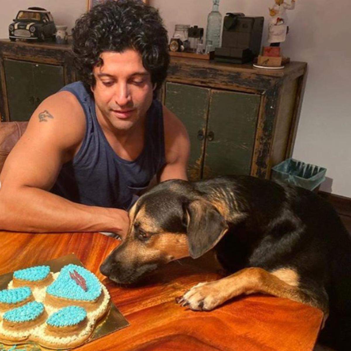 Watch Farhan Akhtar spend the best time at home with his dog