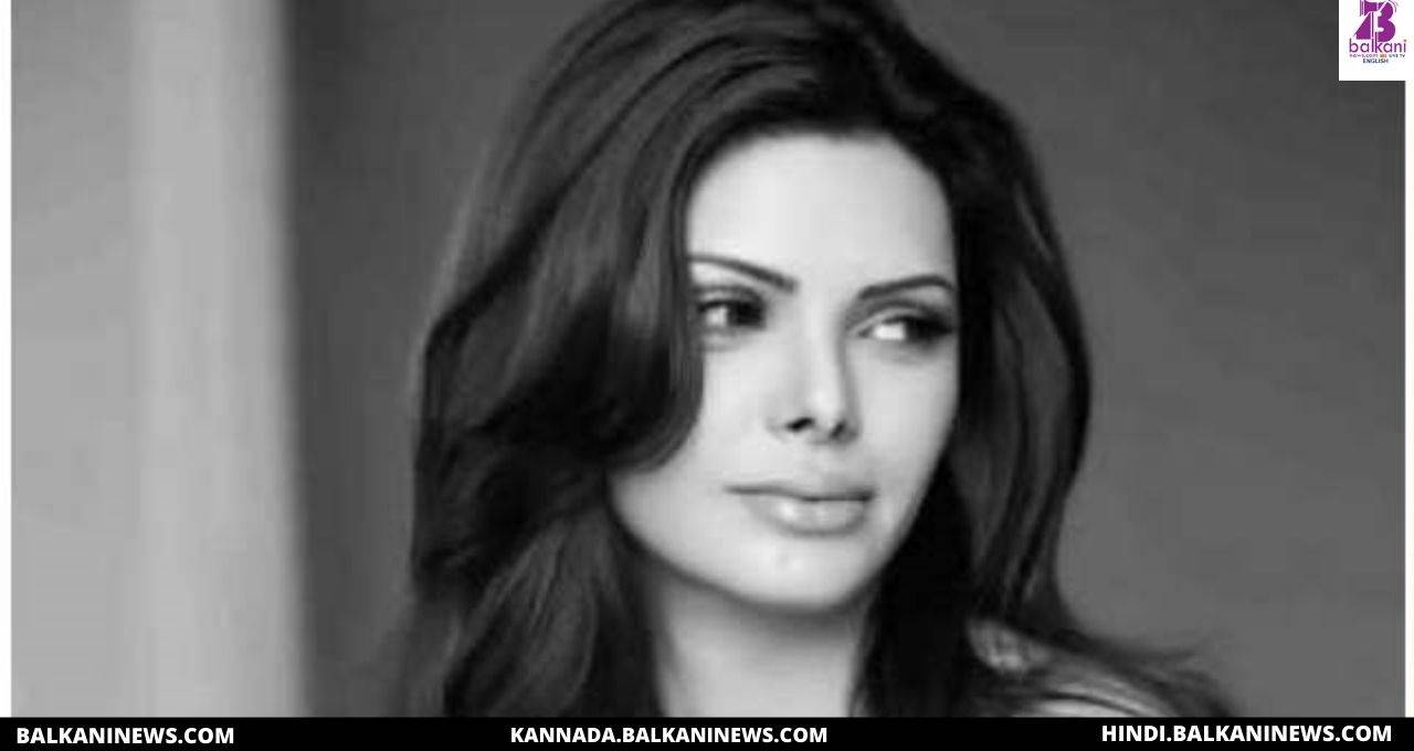 "Sajid Khan Must Apologize And Repent His Misdeeds Says Sherlyn Chopra".