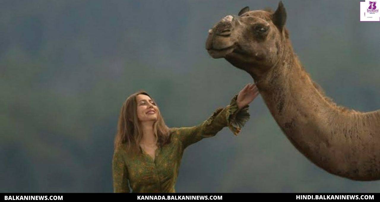 "Anusha Dandekar Urges Her Fans To Avoid Animal Rides For Weddings And Entertainment".