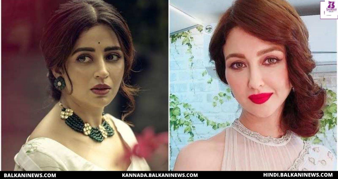 Hopeful that I will be able to pull off Anita’s character says Nehha Pendse
