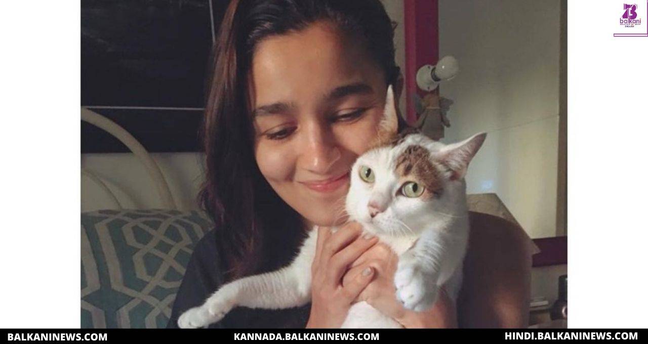 "Alia Bhatt bids adieu to her ‘angel’ pet cat Sheeba on social media".