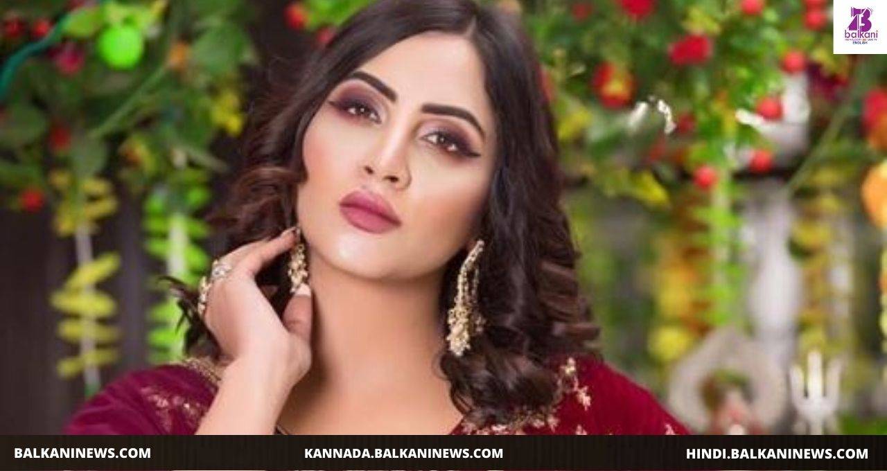 "​Television Industry Works On Groupism Says Arshi Khan".