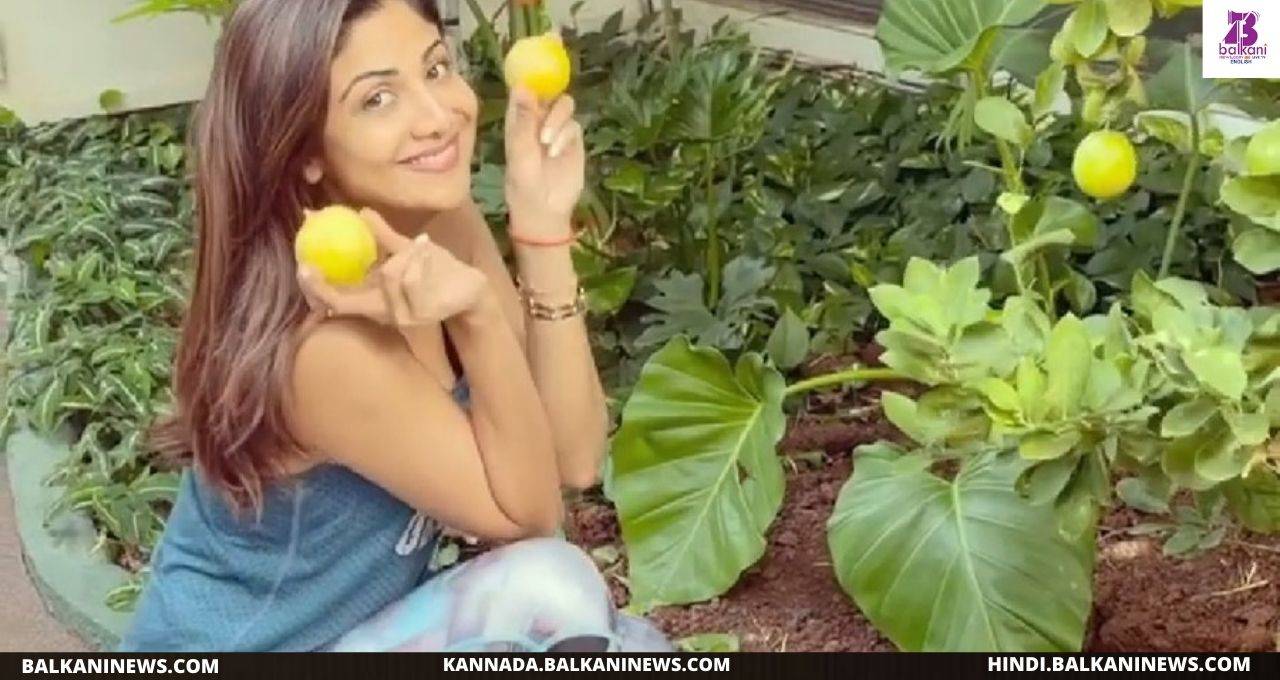 "When Life Gives You Lemon, Make A Lemonade, Says Shilpa Shetty Kundra.".